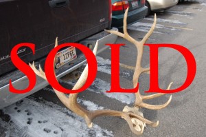 370elkskullsold
