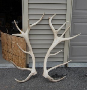 405" Set A
