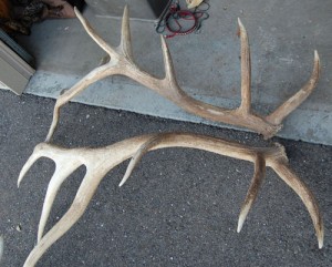 405b1