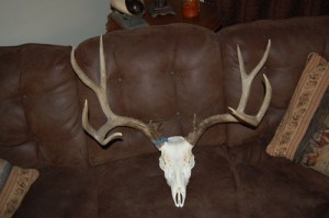 7x5 27.5" wide
