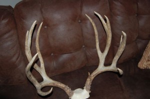 7x5 scores 180.25