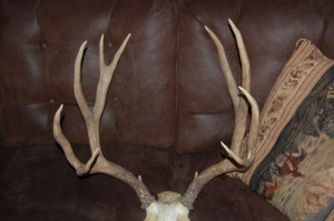 6x5 scores 167