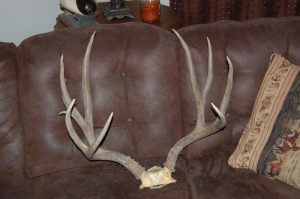 5x4 scores 166